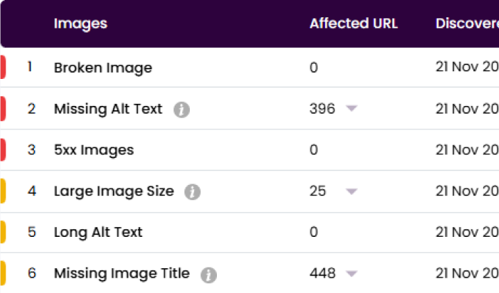 DM Cockpit SEO Rank Checker